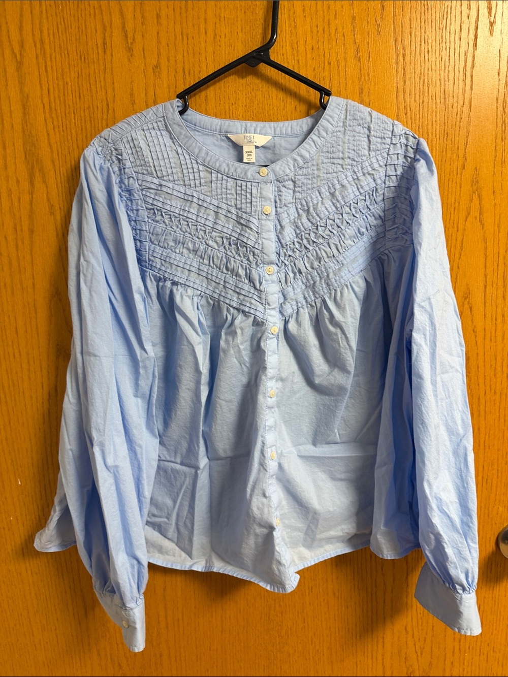 Time and Tru Light Blue Smocked Button-Front Blouse